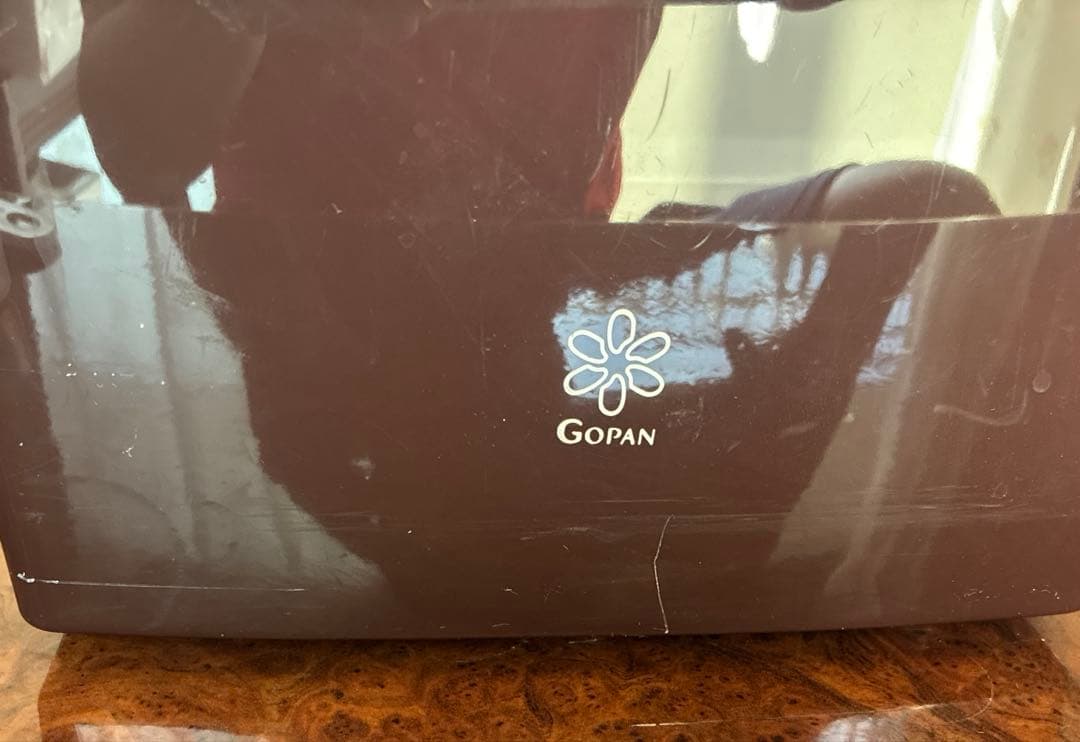 パナソニック ライスブレッドクッカー SD-RBM1001-T GOPAN