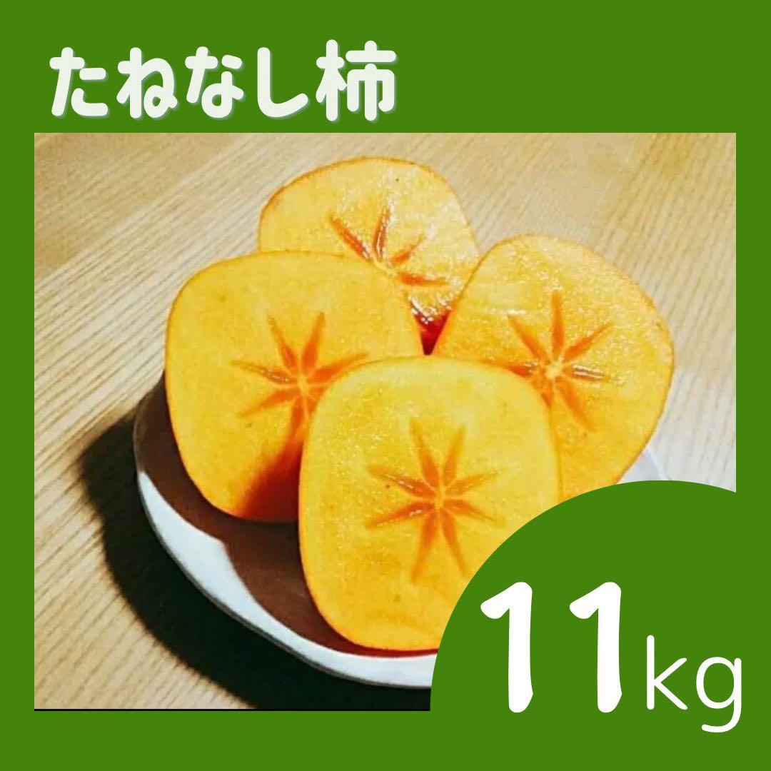 Mei　たねなし柿　11kg 2箱
