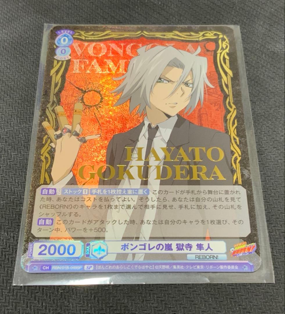 ボンゴレの嵐　獄寺隼人　SP