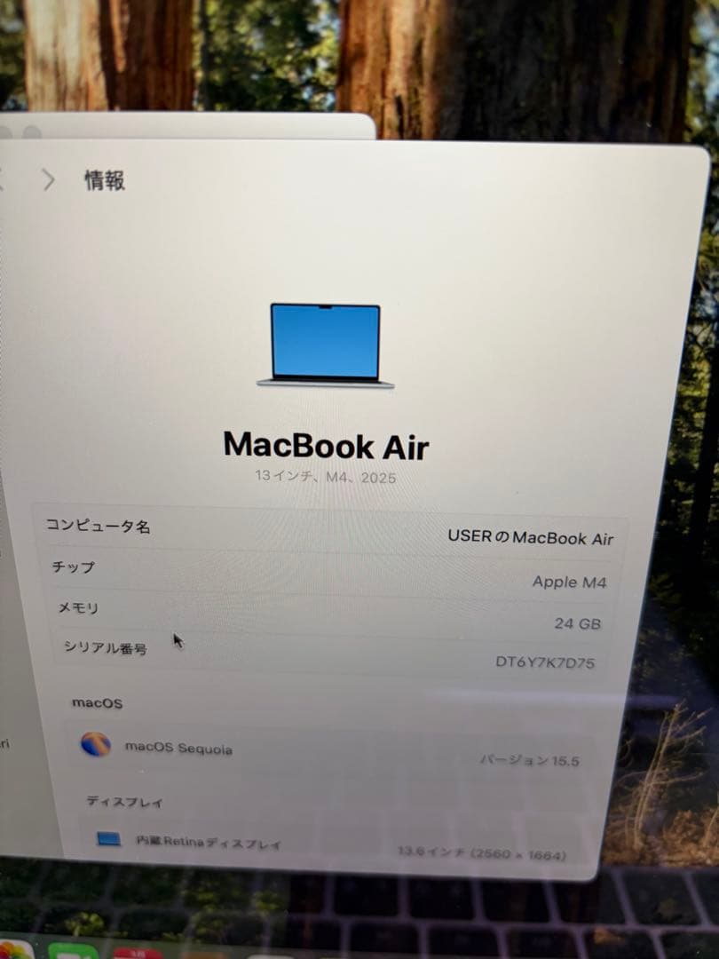 MacBook Air 2025 M4 24GB 1TB スカイブルー中古