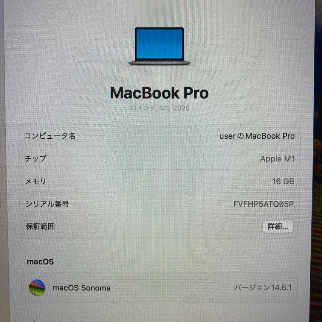 Apple MacBook Pro M1 ノートパソコン （A16）