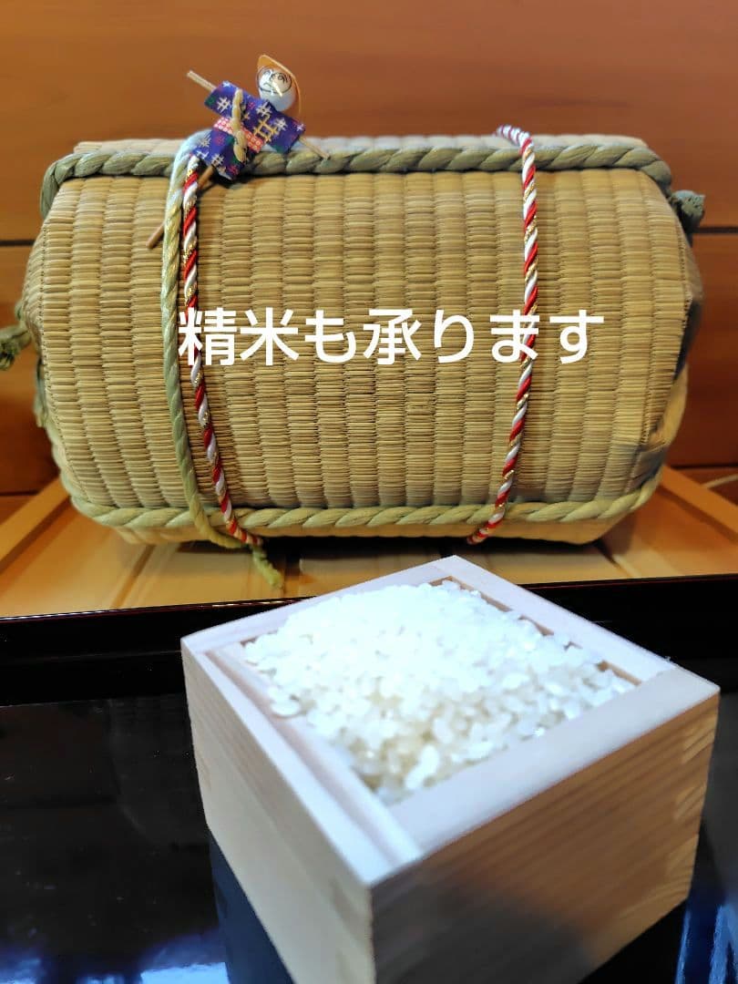 鳥取県産　コシヒカリ　玄米　減農薬　10kg