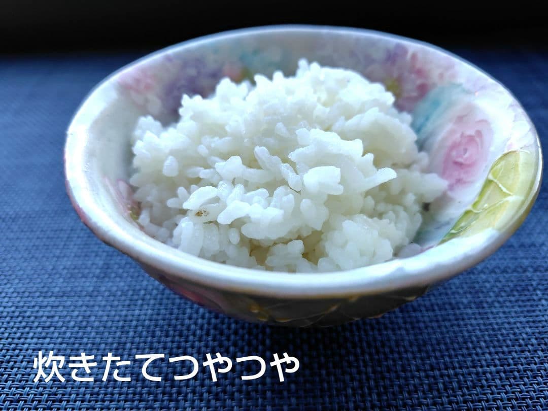 鳥取県産　コシヒカリ　玄米　減農薬　10kg