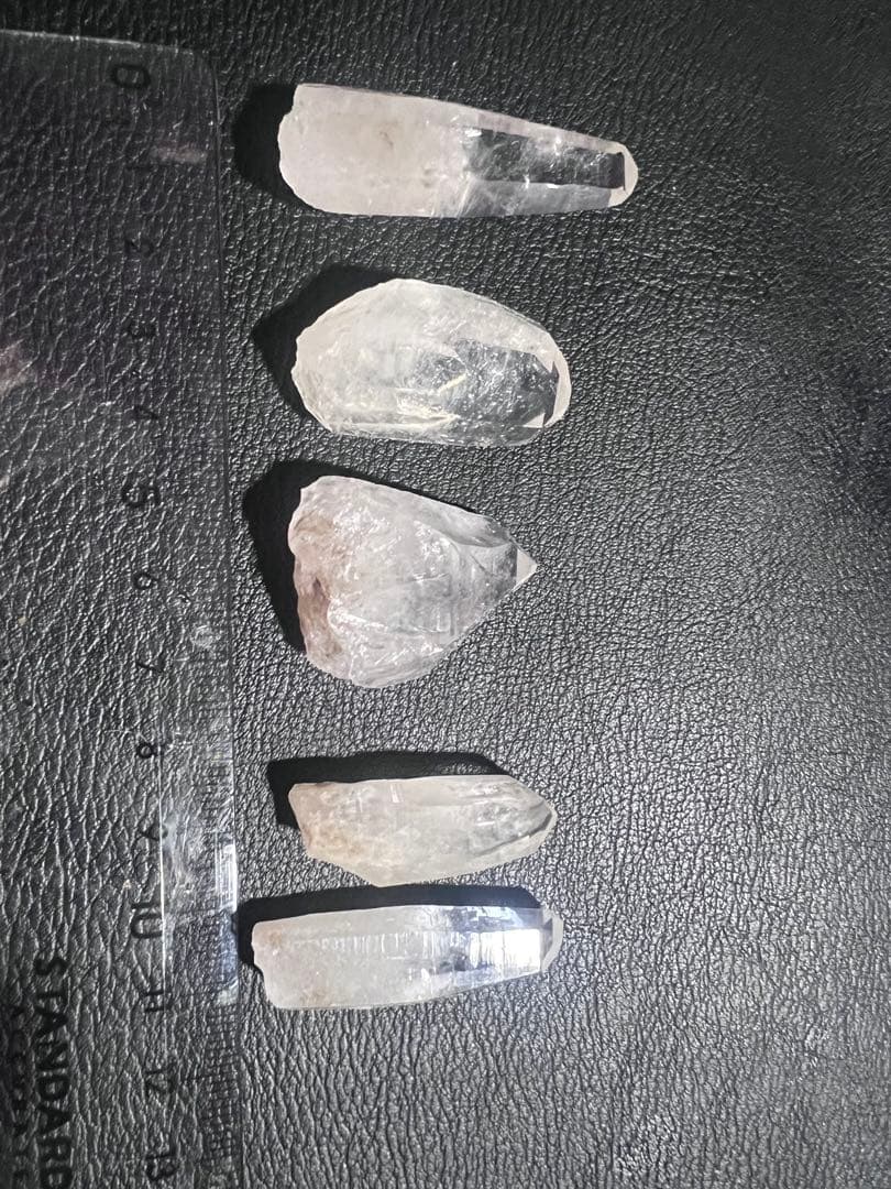 GANちゃんページ