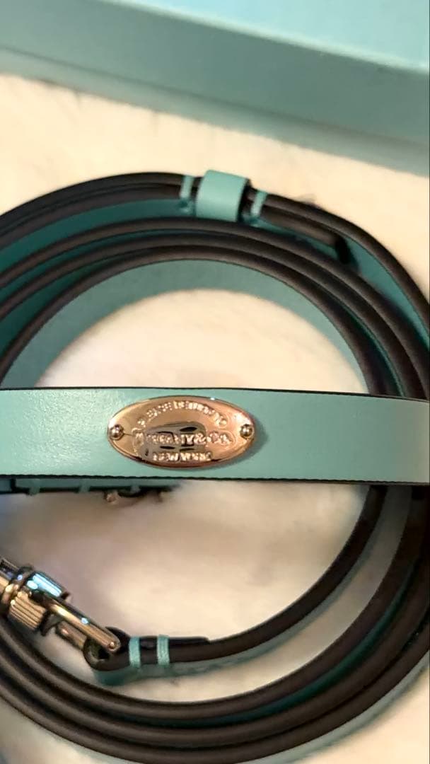 Tiffany & Co. 首輪とリードセット Sサイズ