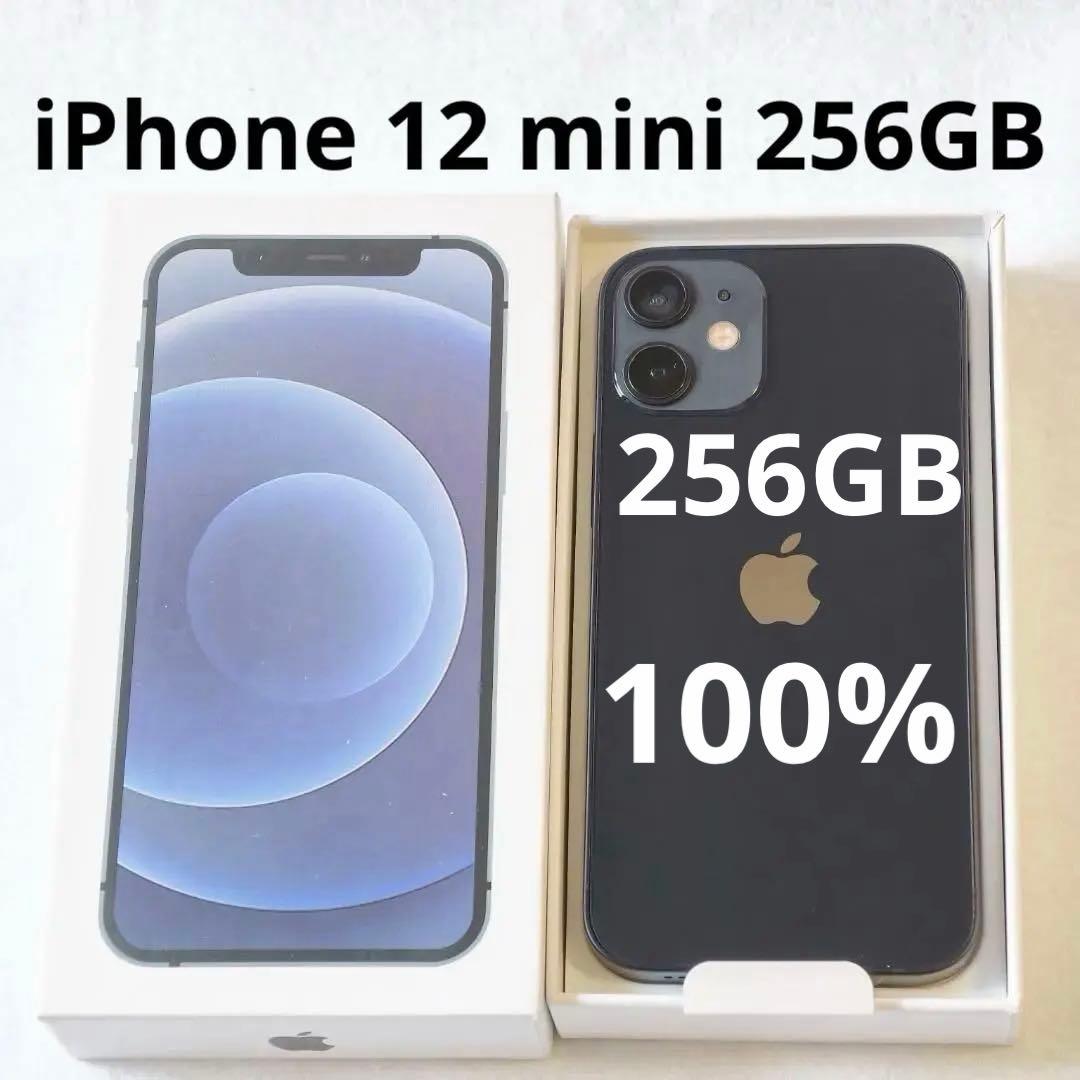 美品 電池100% iPhone 12 mini 256GB ブラック 北米版