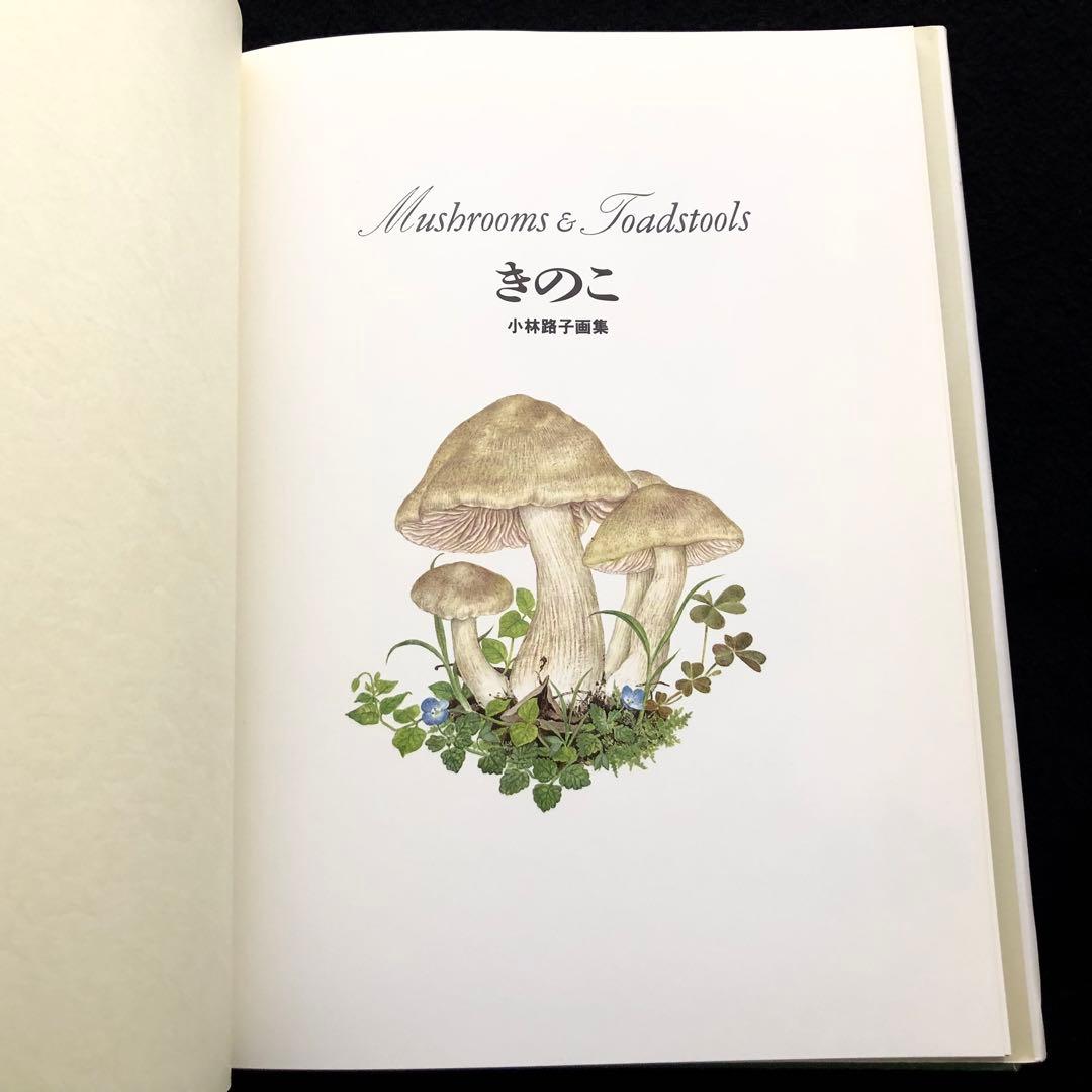 小林路子 画集「きのこ」1993年 初版 山と溪谷社