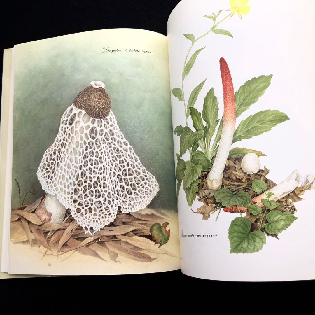小林路子 画集「きのこ」1993年 初版 山と溪谷社
