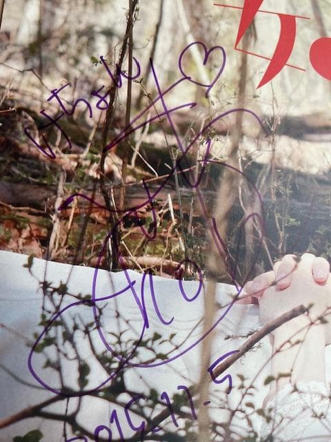 「女の子よ死体と踊れ」新品未開封DVD 映画パンフレット(サイン入り)チラシ付