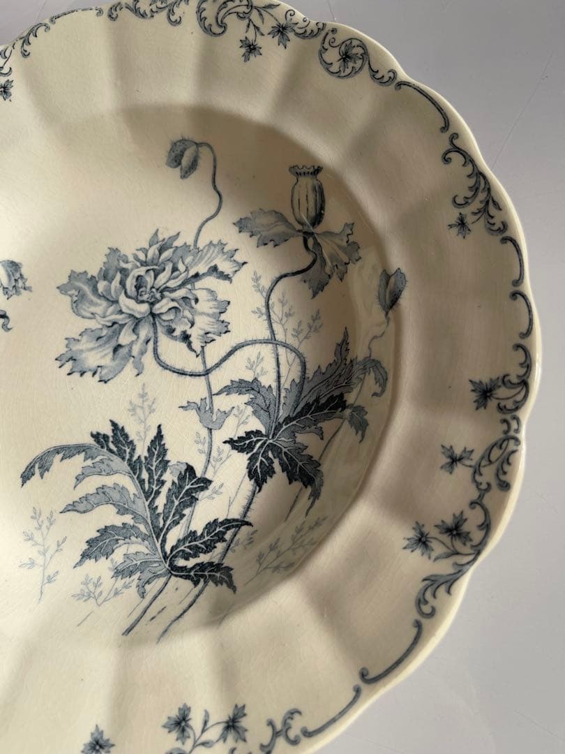 ジョワジールロワ　深皿2枚セット