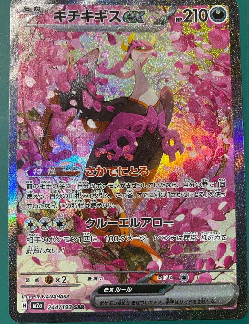 メガドリームex Nのゾロアーク　キチチギス　SAR