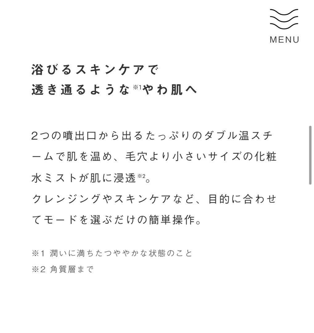 SALONIA PURE BRIGHT STEAMER グレー