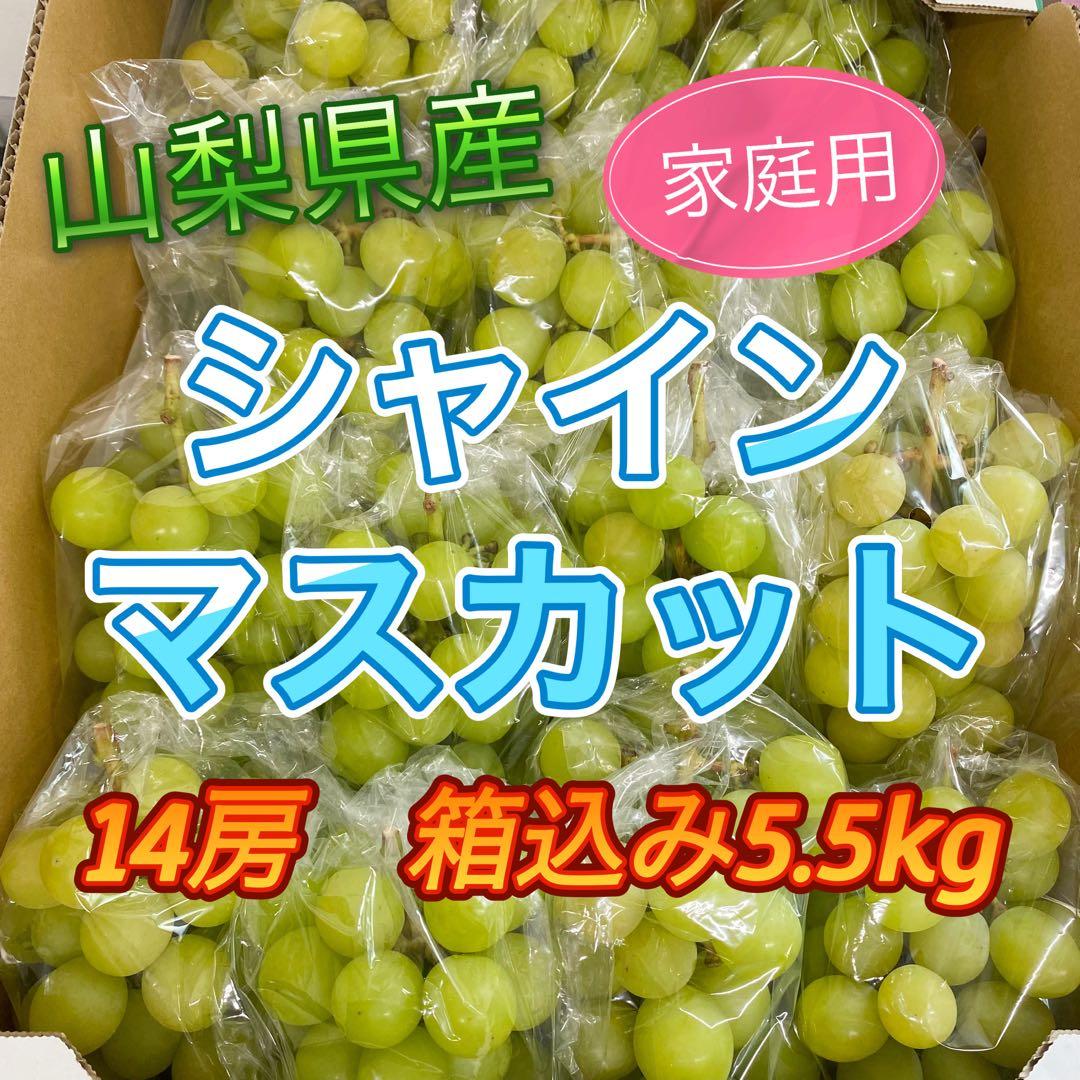 山梨県産　訳あり　家庭用　シャインマスカット　14房　箱込み5.5kg ①