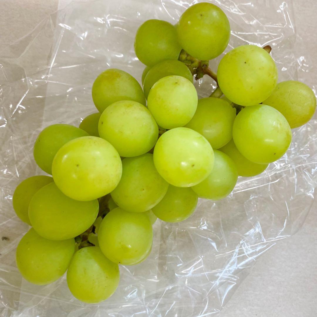 山梨県産　訳あり　家庭用　シャインマスカット　14房　箱込み5.5kg ①