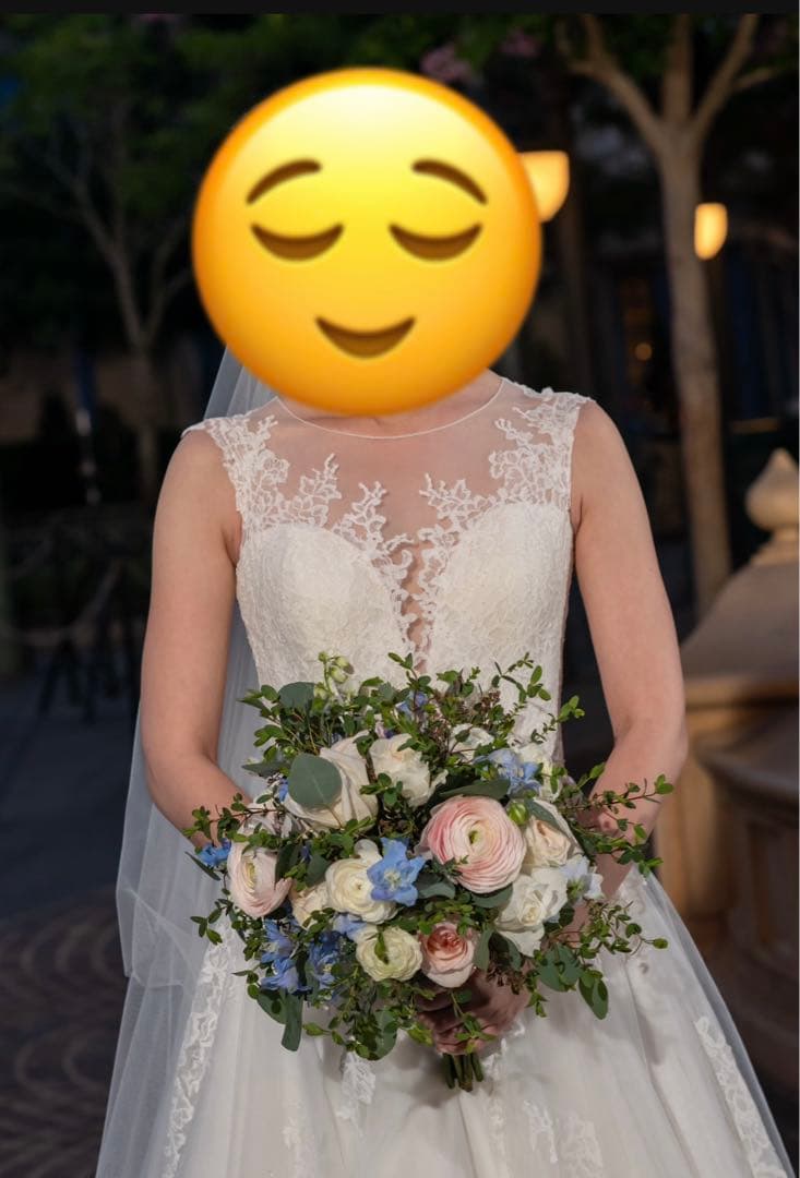 プロノビアス Pronovias ウェディングドレス Aライン vulcania