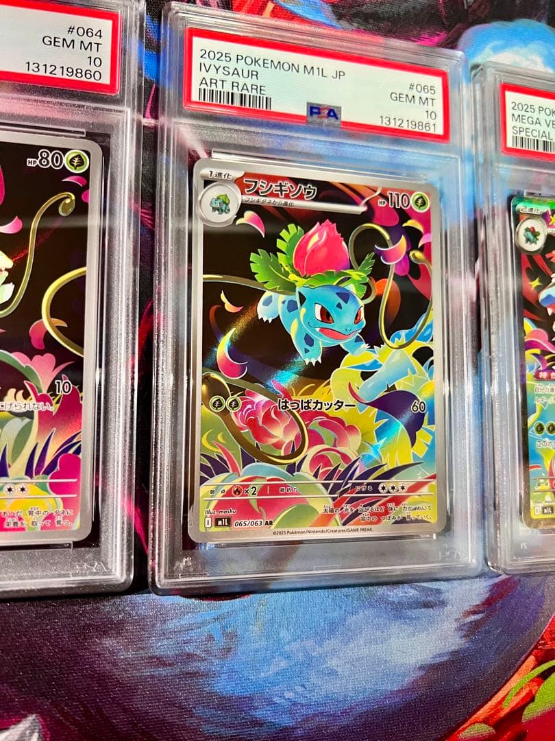 【PSA10】メガフシギバナ 進化ライン　3連番　まとめて　ポケモンカード