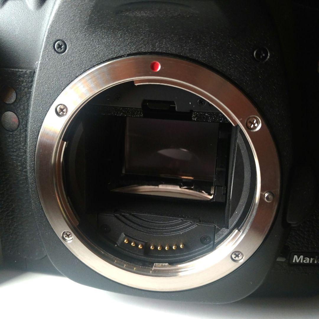 Canon EOS 5D Mark II　レンズ付き　シャッター回数少なめ！美品