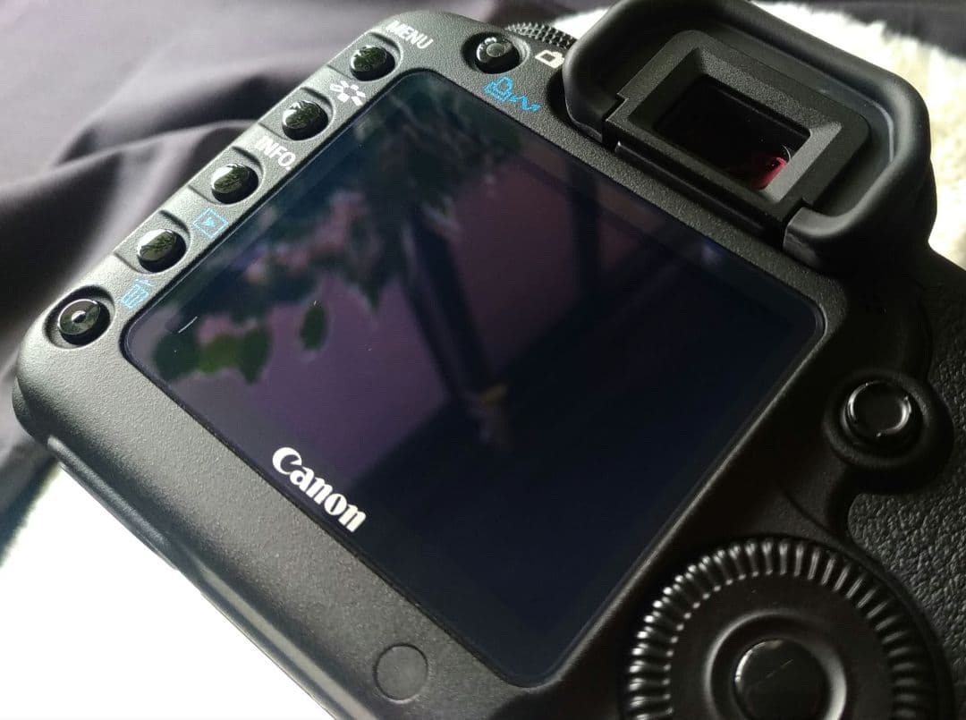 Canon EOS 5D Mark II　レンズ付き　シャッター回数少なめ！美品