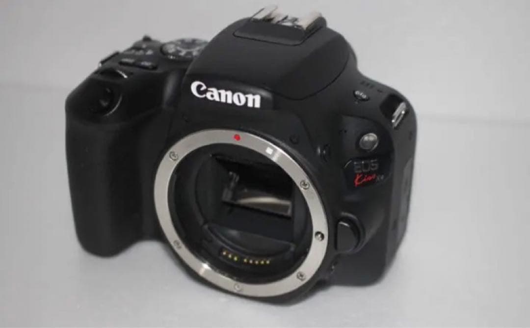 canon kiss x9 標準&望遠&単焦点トリプルレンズセット