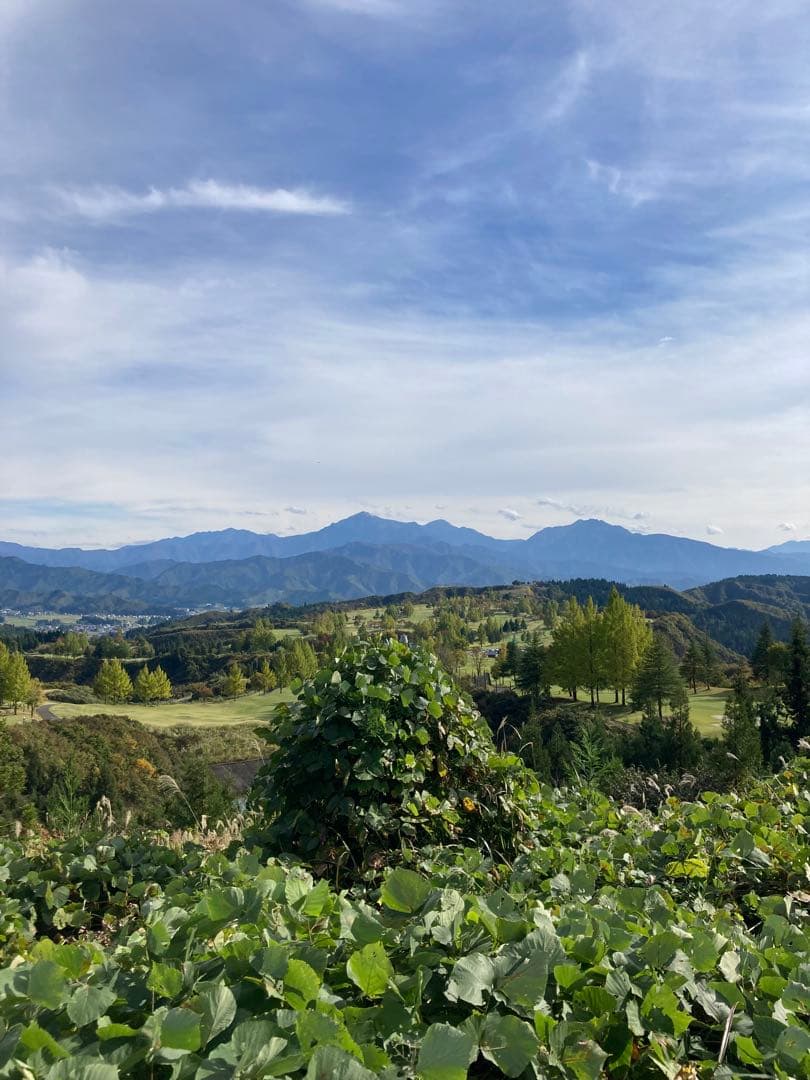 魚沼コシヒカリ精米 10kg