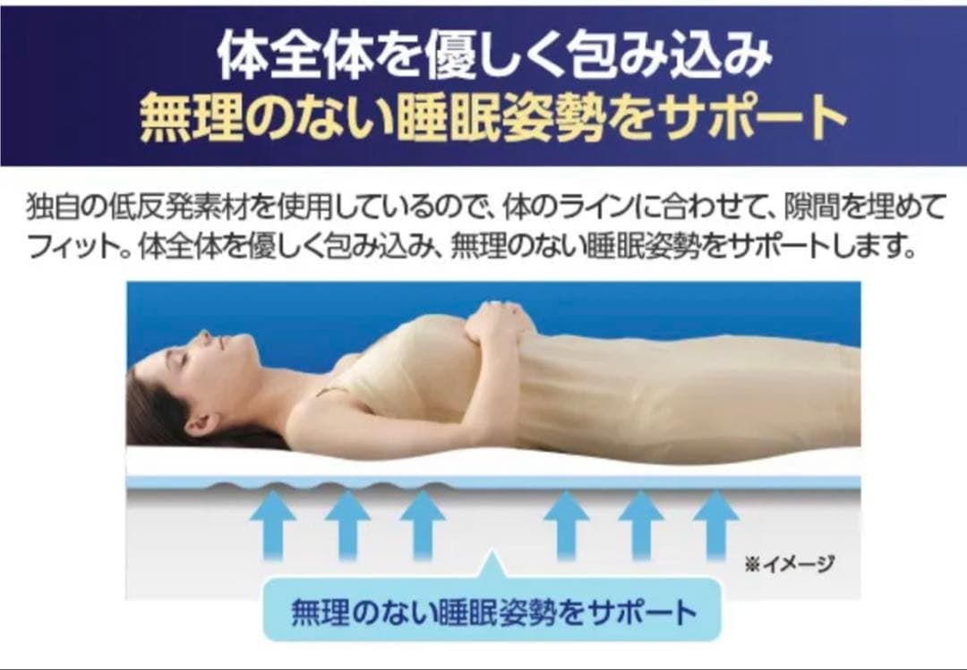 【美品】True Sleeper プレミアリッチ シングル