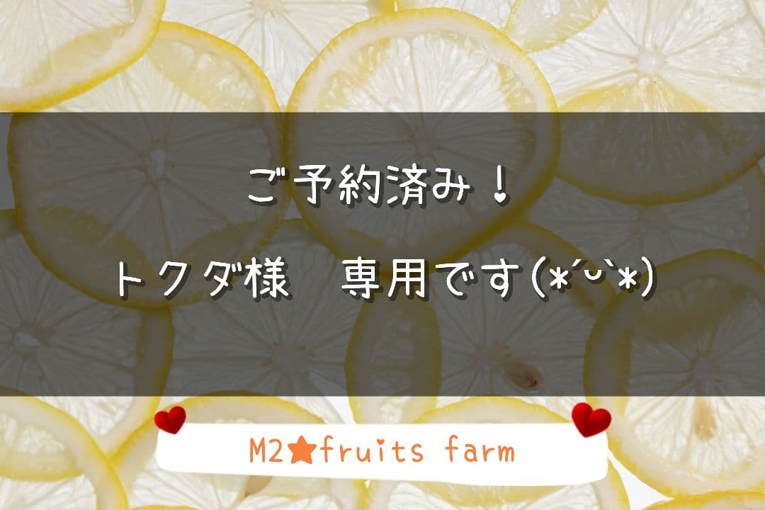 【ꕤ452】熊本県産 赤姫レモン 20kg（国産レモン）
