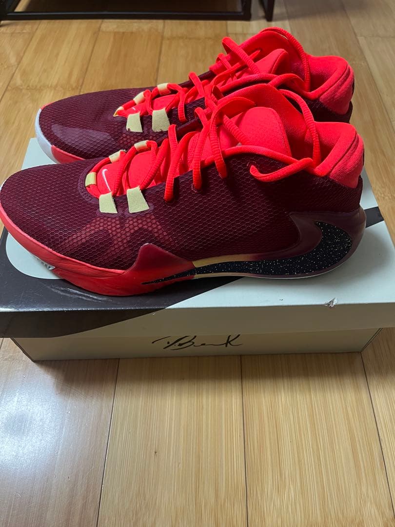 NIKE Zoom Freak1 バスケットボールシューズ