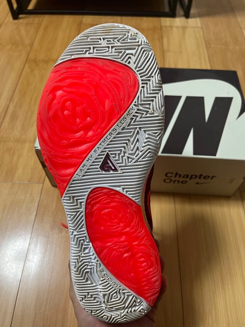 NIKE Zoom Freak1 バスケットボールシューズ