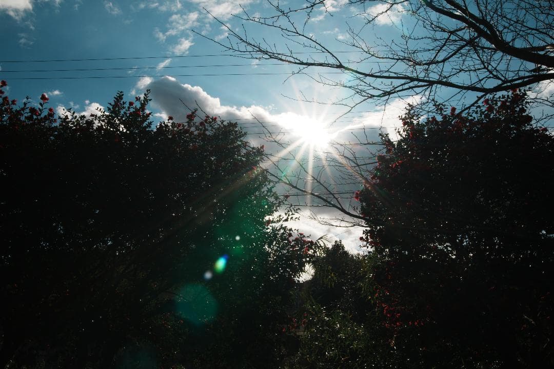 コスパ最高標準ズーム Tamron 28-75mm F2.8 Nikon F用