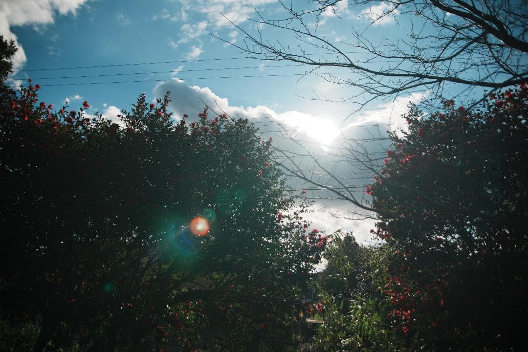 コスパ最高標準ズーム Tamron 28-75mm F2.8 Nikon F用