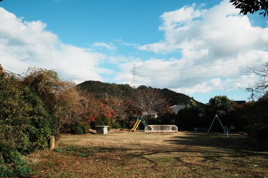 コスパ最高標準ズーム Tamron 28-75mm F2.8 Nikon F用