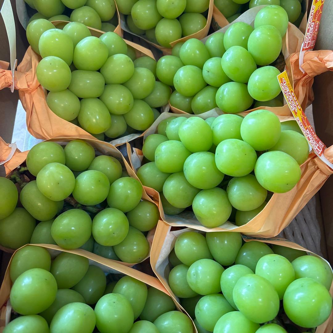 シャインマスカット 秀品9房 5キロ 長野 JAみなみ信州