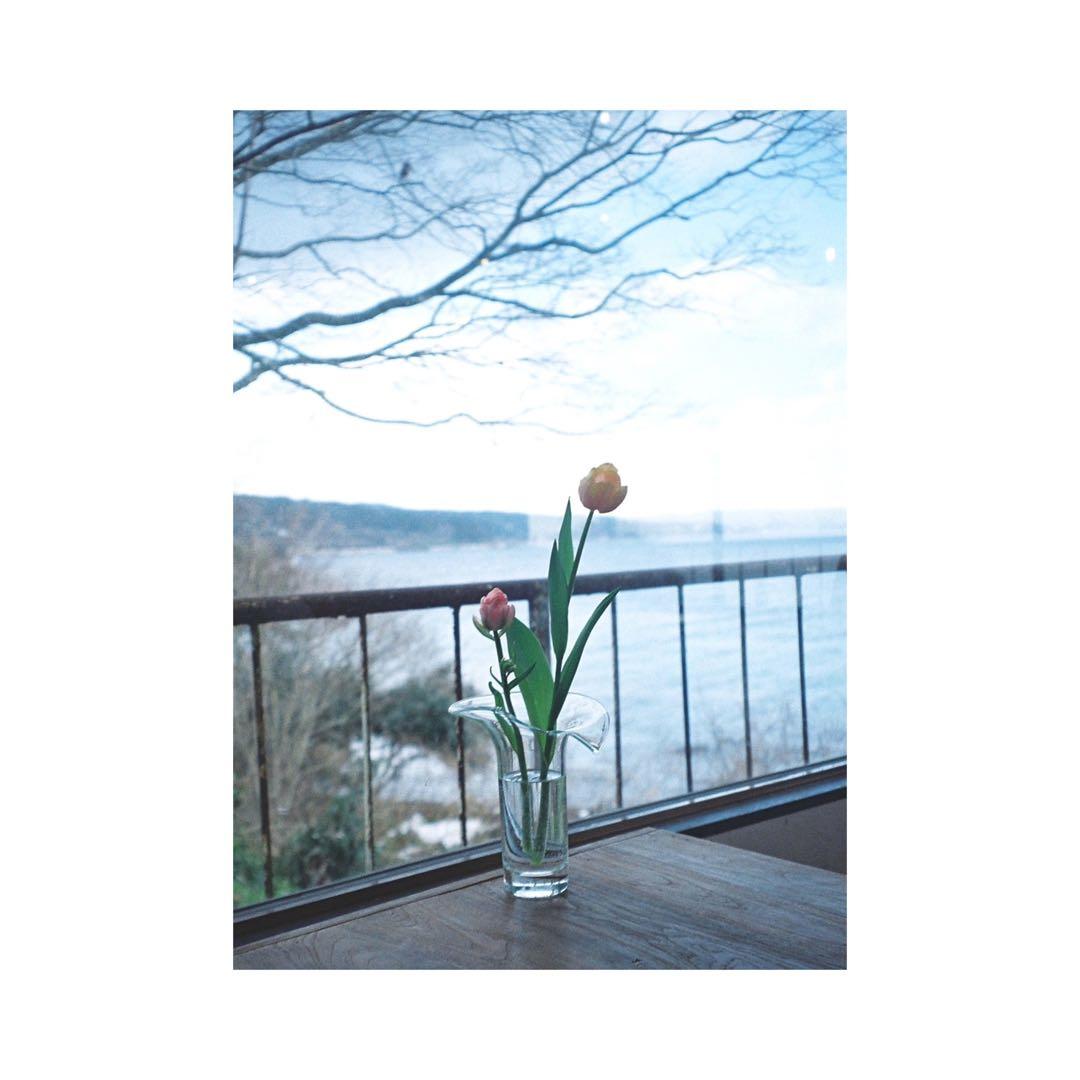 ⌘実写確認済み、電池付き！ OLYMPUS OZ CLASSY 105⌘