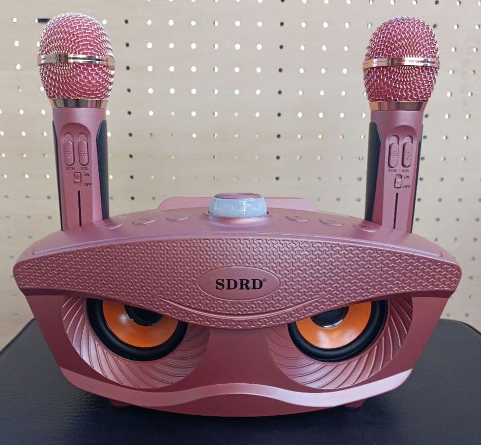 SDR SD-306 カラオケスピーカー 2個セット