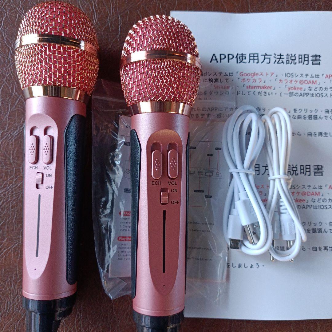 SDR SD-306 カラオケスピーカー 2個セット