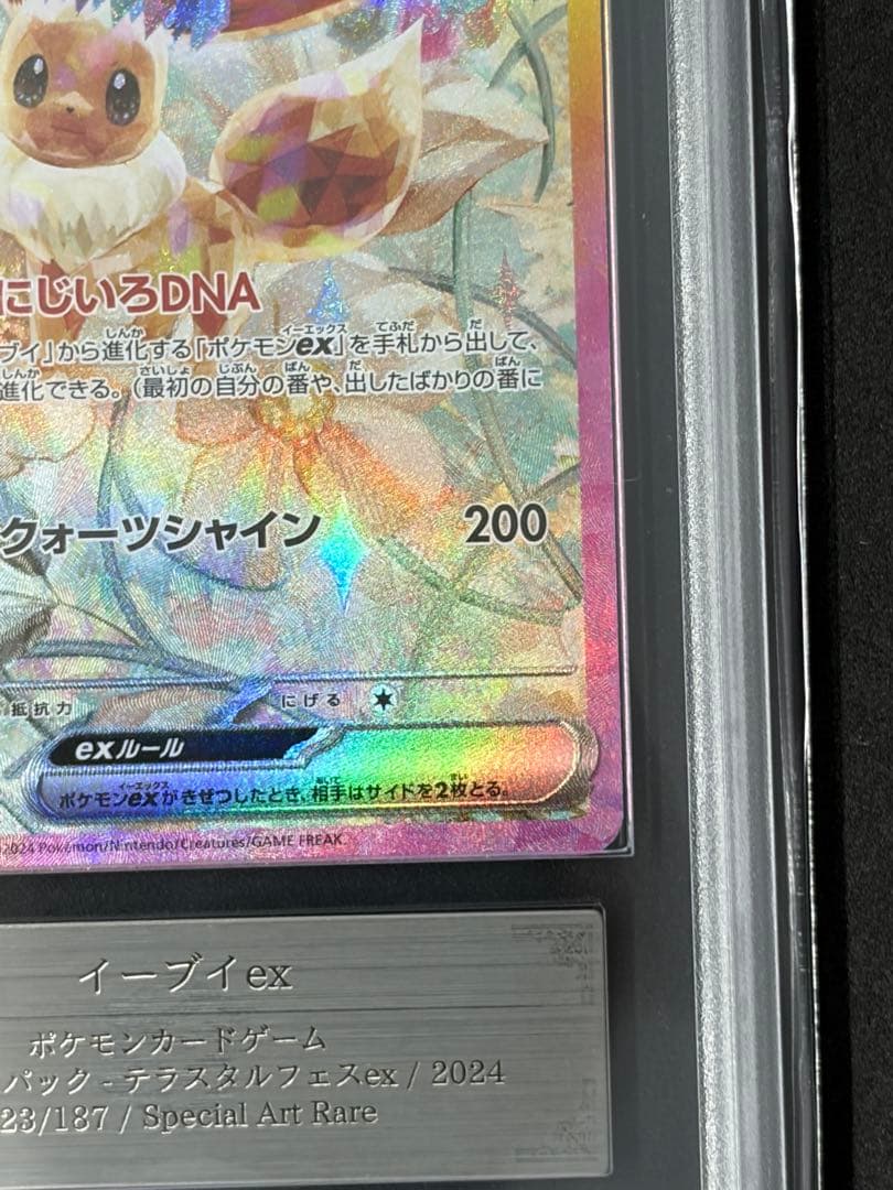 ARS10 イーブイex SAR ポケモンカード ポケカ