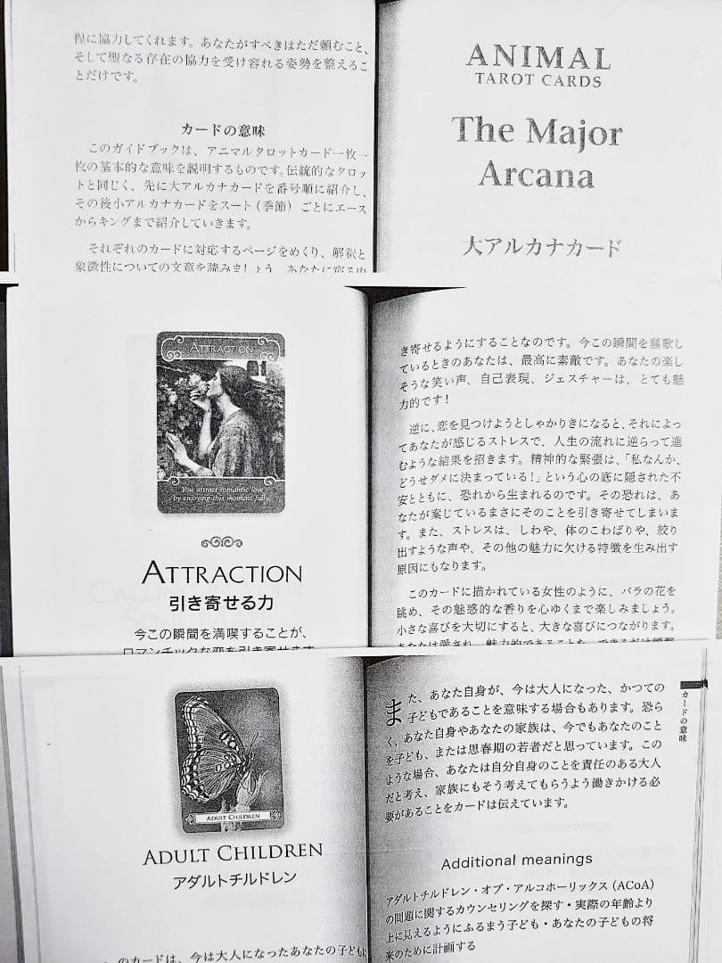 英語版 アニマルタロットカード ロマンスエンジェルオラクル バタフライオラクル