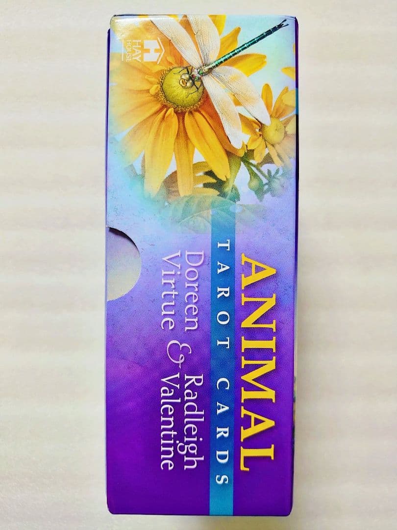 英語版 アニマルタロットカード ロマンスエンジェルオラクル バタフライオラクル