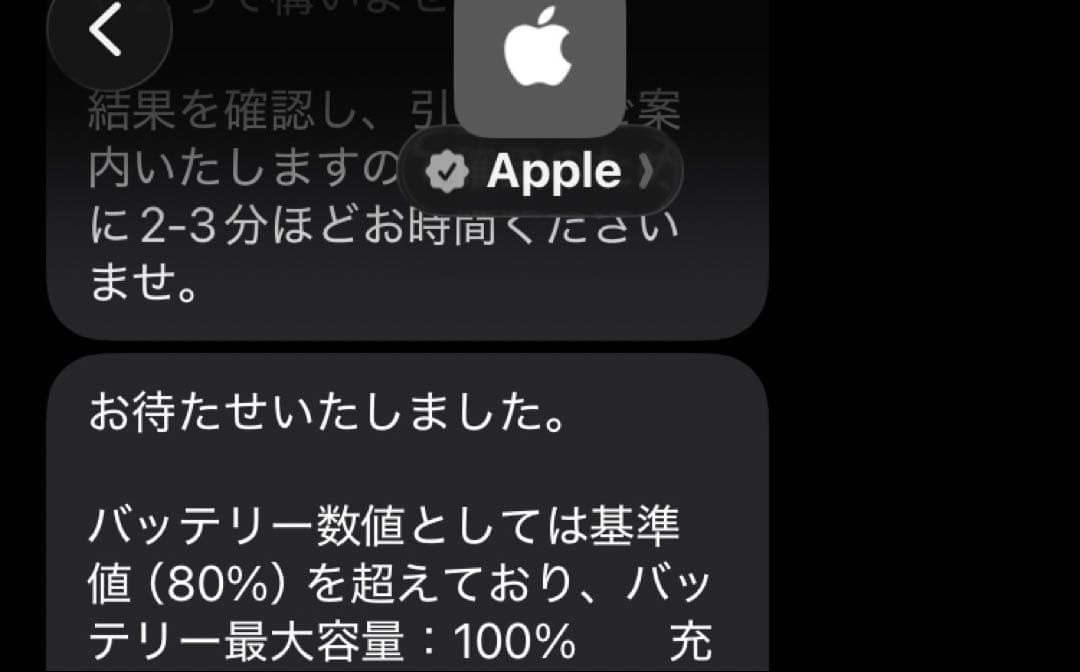 iPod touch 第7世代 32G バッテリー最大100%