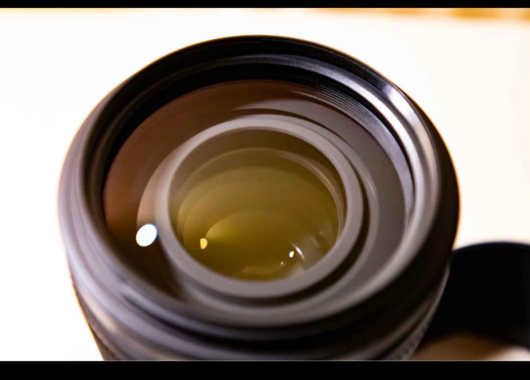 Manamiさん専用 NIKKOR Z 70-180mm f/2.8 Zマウント