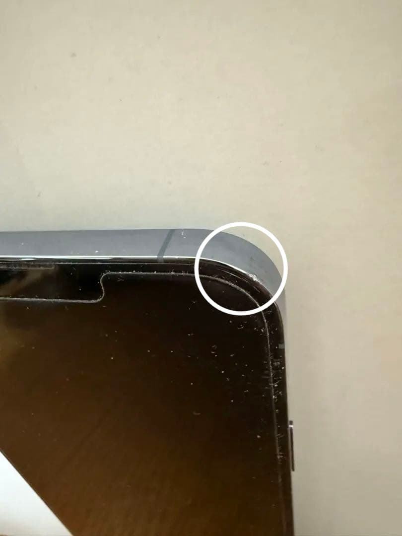 【美品】　iPhone13 Pro Maxシエラブルー 256GB SIMフリー