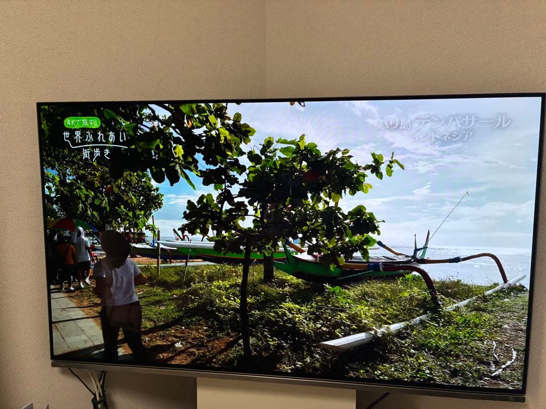 【訳あり】TOSHIBA 東芝 有機ELテレビ REGZA 48X8400