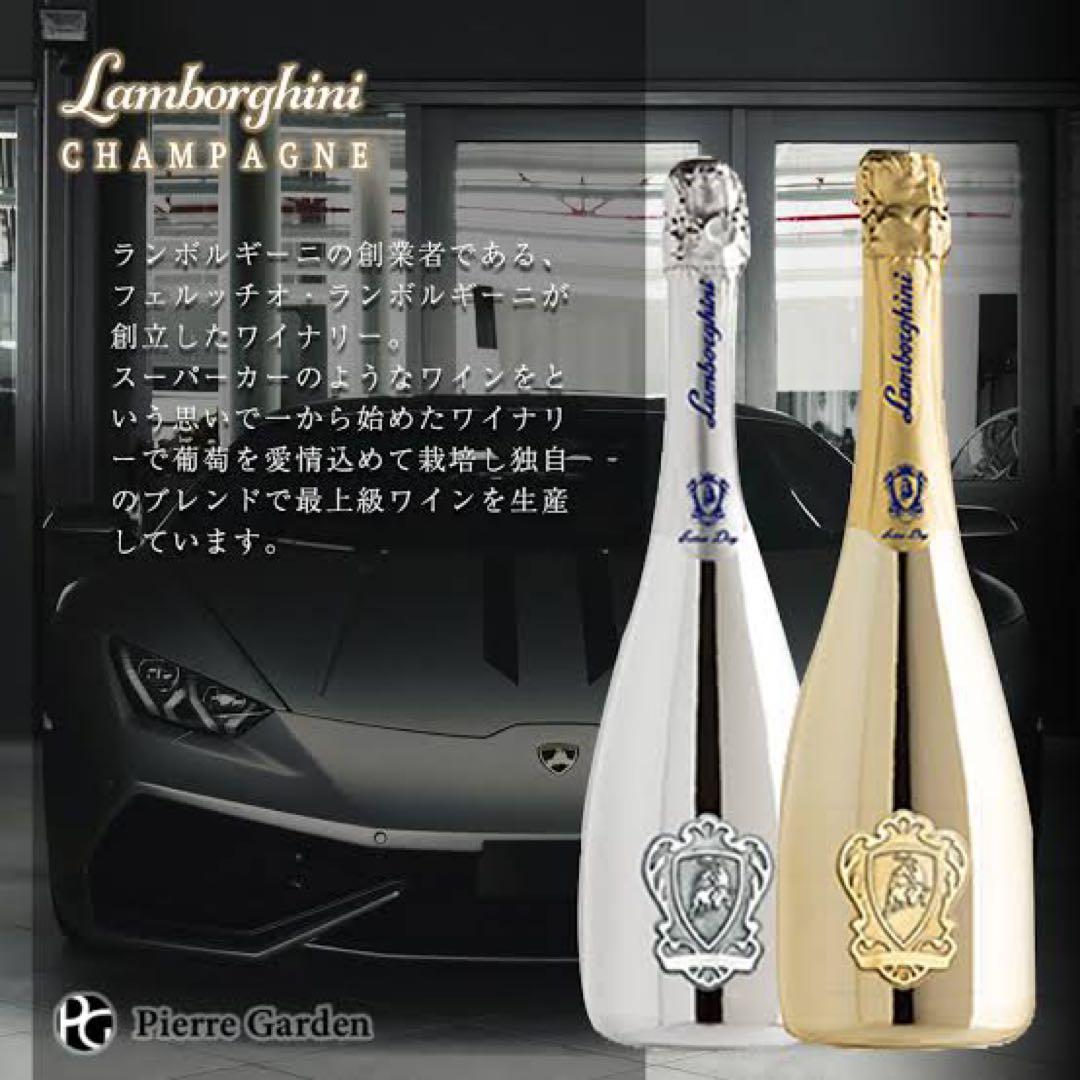 2本セット ランボルギーニ ゴールド プラチナ シャンパン