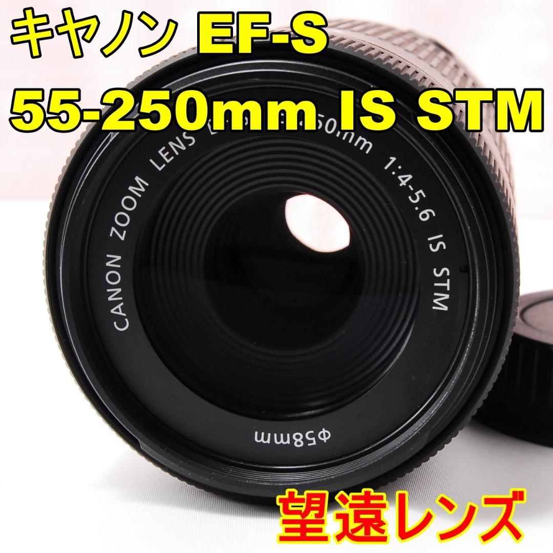 キヤノン EF-S 55-250mm F4-5.6 IS STM 望遠レンズ