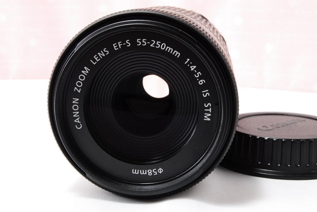 キヤノン EF-S 55-250mm F4-5.6 IS STM 望遠レンズ