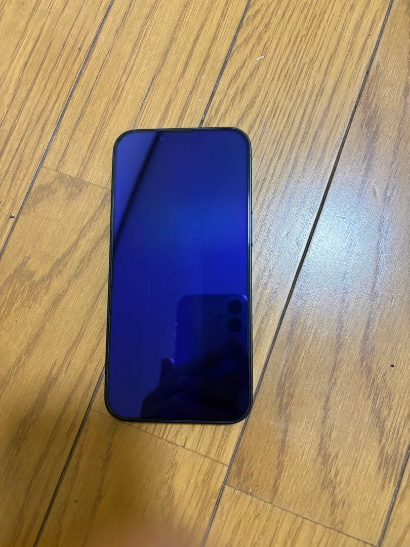 Apple iPhone 14本体のみ 充電ケーブル付き