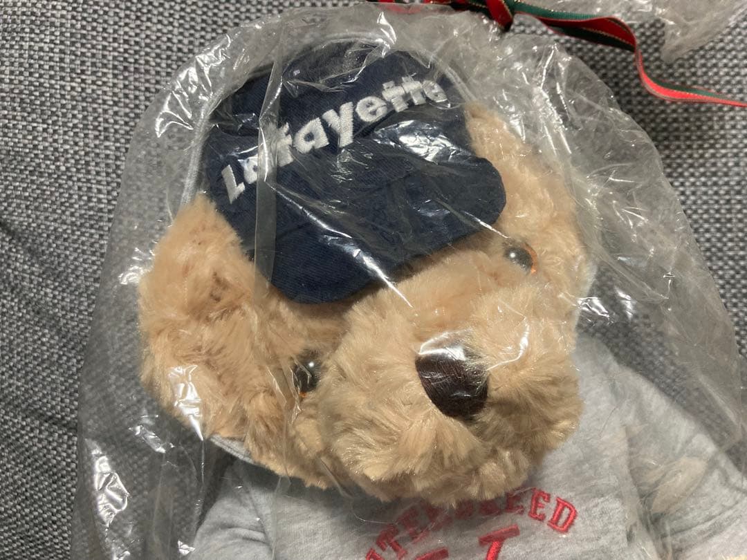 未開封　Lafayette × INTERBREED テディベア