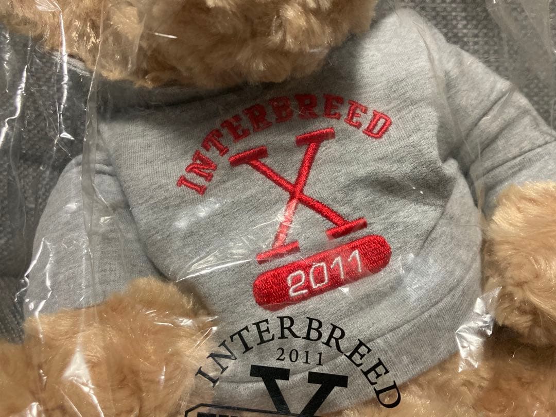 未開封　Lafayette × INTERBREED テディベア