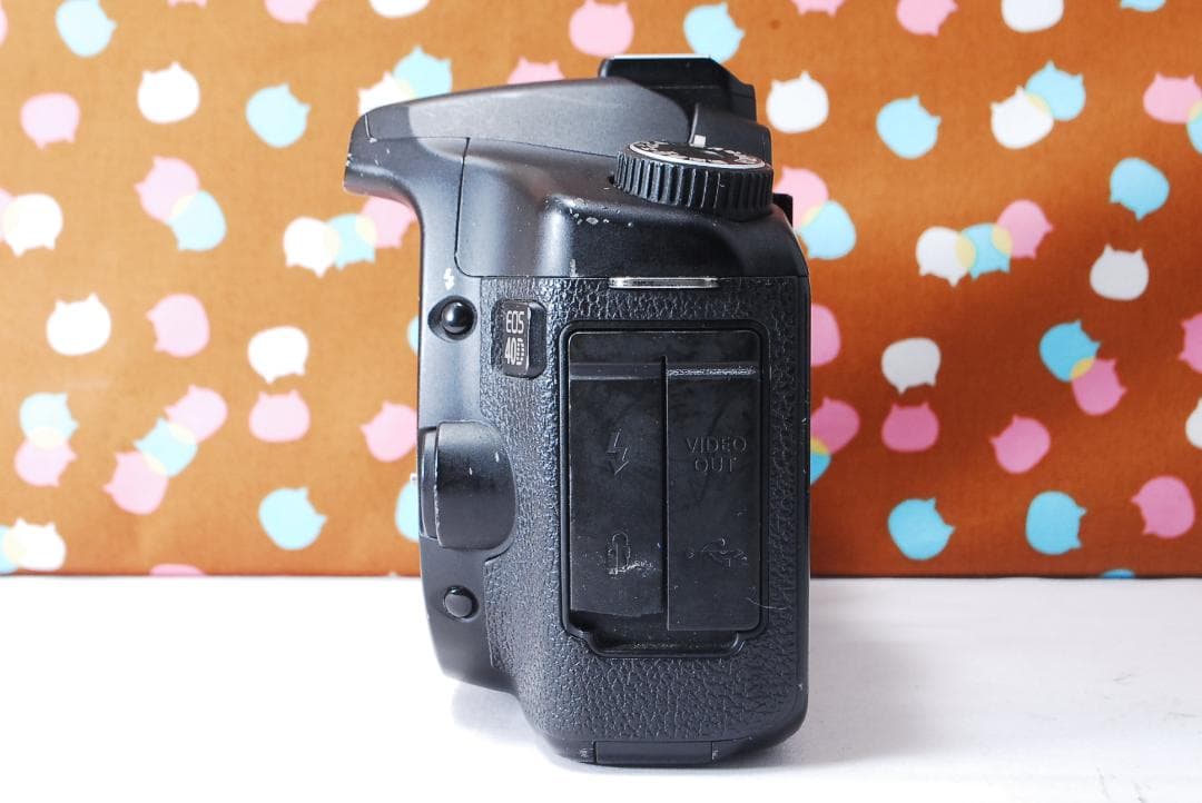 ✨初心者オススメ✨届いてすぐ使える✨Canon 40D レンズセット