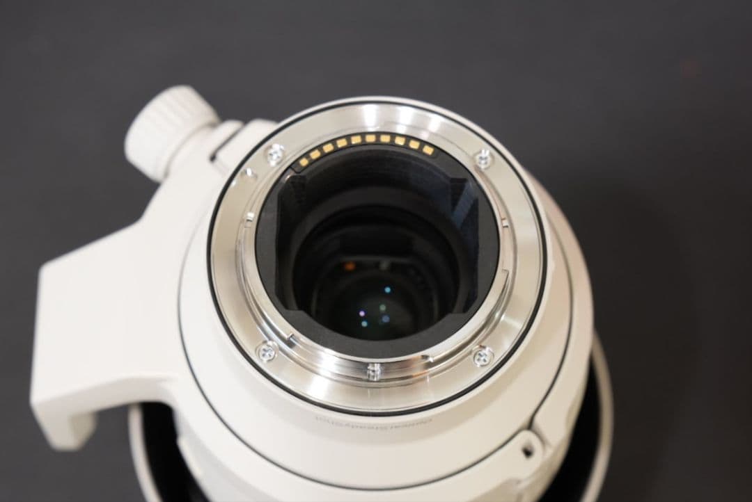 レンズ(ズーム) FE70-200F4MacroGOSSII SEL70200G2